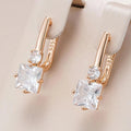 Earrings with Zirconia in Gold