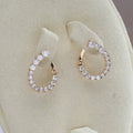 Earrings Brilliant Circle