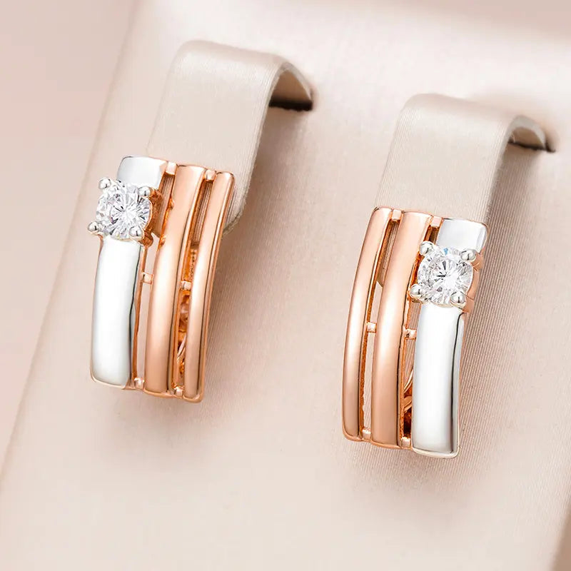 Small Earrings Made of Gold and Silver
