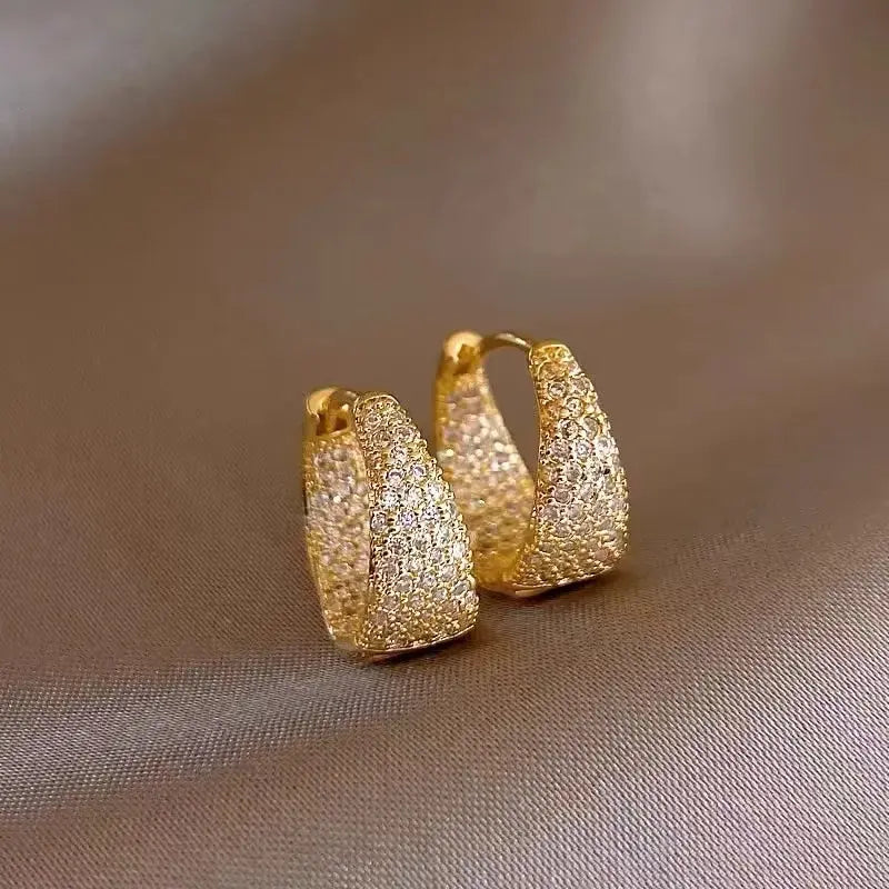 Elegant shiny basket earrings