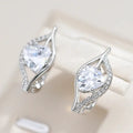 Elegant shiny silver earrings